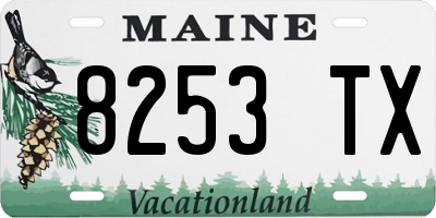 ME license plate 8253TX