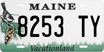 ME license plate 8253TY
