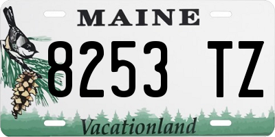ME license plate 8253TZ
