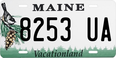 ME license plate 8253UA