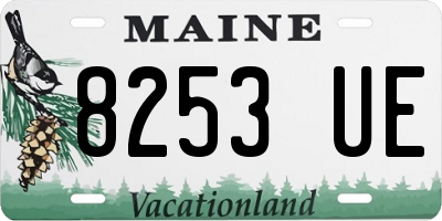 ME license plate 8253UE