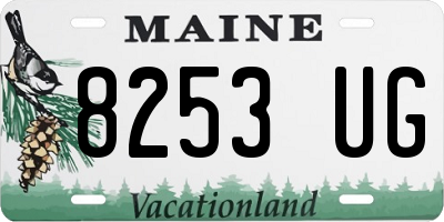 ME license plate 8253UG