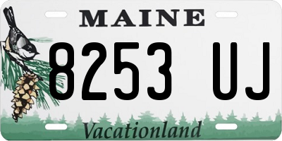 ME license plate 8253UJ