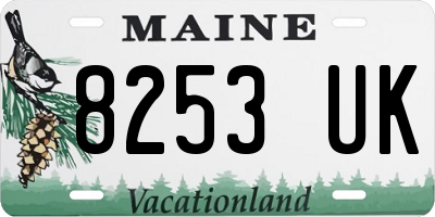 ME license plate 8253UK