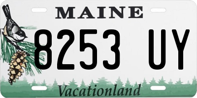 ME license plate 8253UY