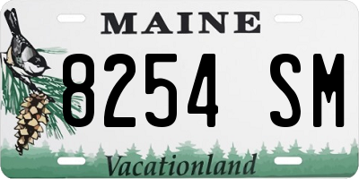 ME license plate 8254SM