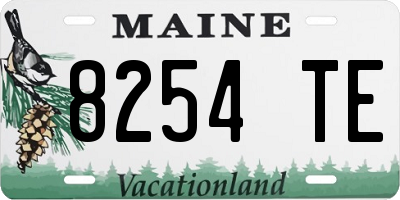 ME license plate 8254TE