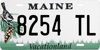 ME license plate 8254TL