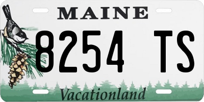 ME license plate 8254TS
