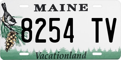 ME license plate 8254TV