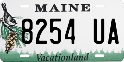 ME license plate 8254UA