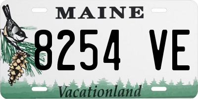 ME license plate 8254VE