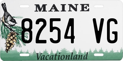 ME license plate 8254VG