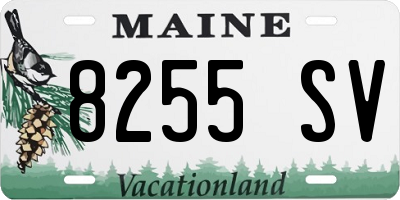 ME license plate 8255SV