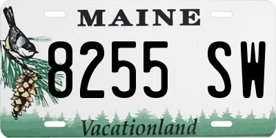 ME license plate 8255SW
