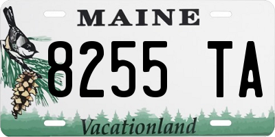 ME license plate 8255TA