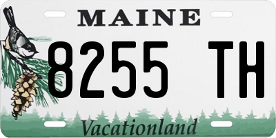 ME license plate 8255TH