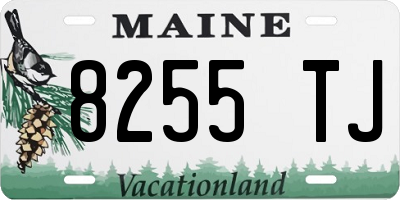 ME license plate 8255TJ