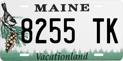 ME license plate 8255TK