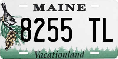 ME license plate 8255TL
