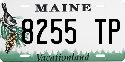 ME license plate 8255TP