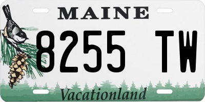 ME license plate 8255TW