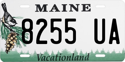 ME license plate 8255UA
