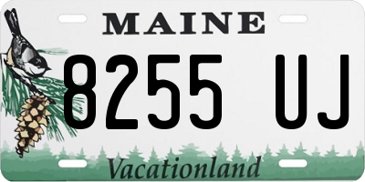 ME license plate 8255UJ