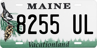 ME license plate 8255UL