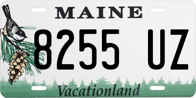 ME license plate 8255UZ