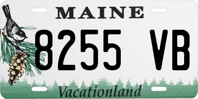 ME license plate 8255VB