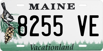 ME license plate 8255VE