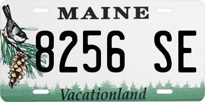 ME license plate 8256SE