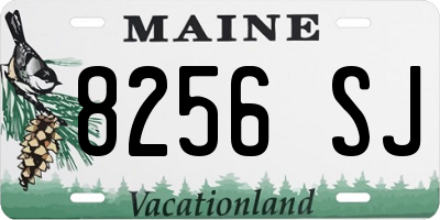 ME license plate 8256SJ
