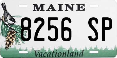 ME license plate 8256SP