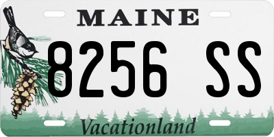 ME license plate 8256SS