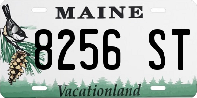 ME license plate 8256ST