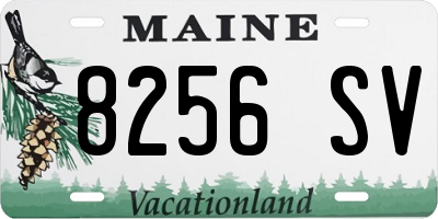ME license plate 8256SV