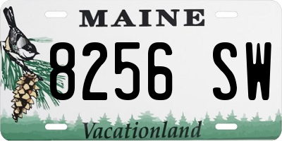 ME license plate 8256SW