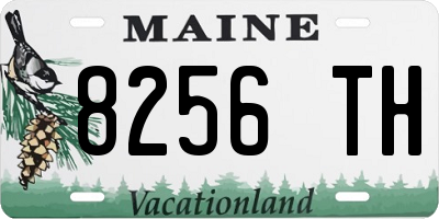 ME license plate 8256TH