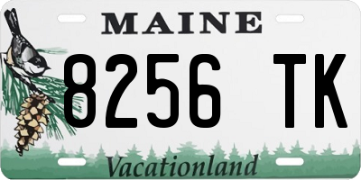 ME license plate 8256TK