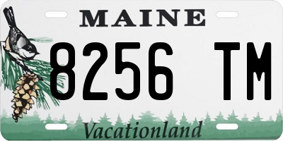 ME license plate 8256TM