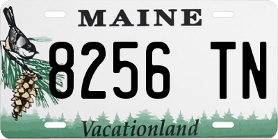 ME license plate 8256TN