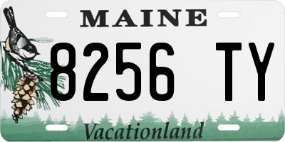 ME license plate 8256TY