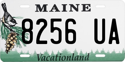 ME license plate 8256UA