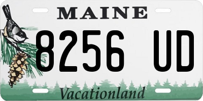 ME license plate 8256UD
