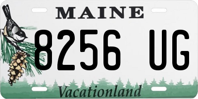 ME license plate 8256UG