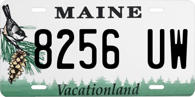 ME license plate 8256UW