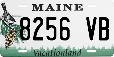 ME license plate 8256VB