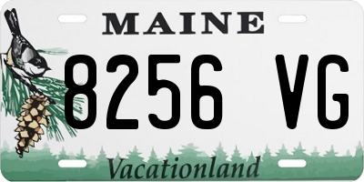 ME license plate 8256VG